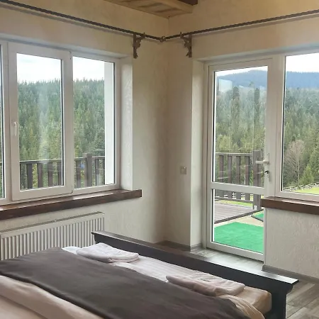 мелодія гір вид на гори Vorokhta