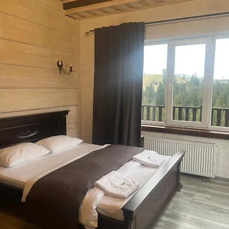 мелодія гір вид на гори Vorokhta