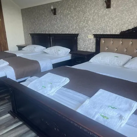 мелодія гір вид на гори Lodge Vorokhta