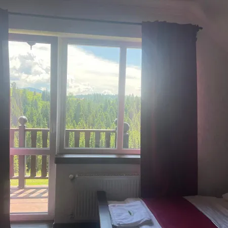 мелодія гір вид на гори * Vorokhta