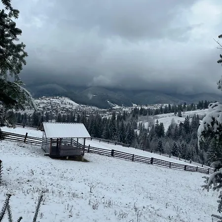 мелодія гір вид на гори *