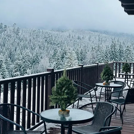 мелодія гір вид на гори Vorokhta