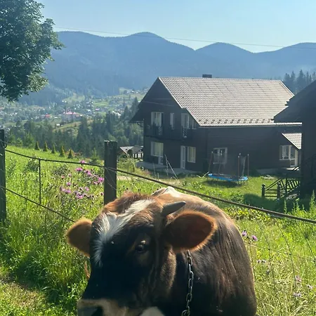 мелодія гір вид на гори Lodge