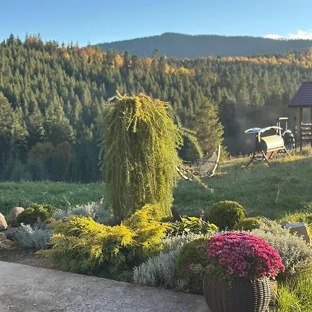 мелодія гір вид на гори Vorokhta