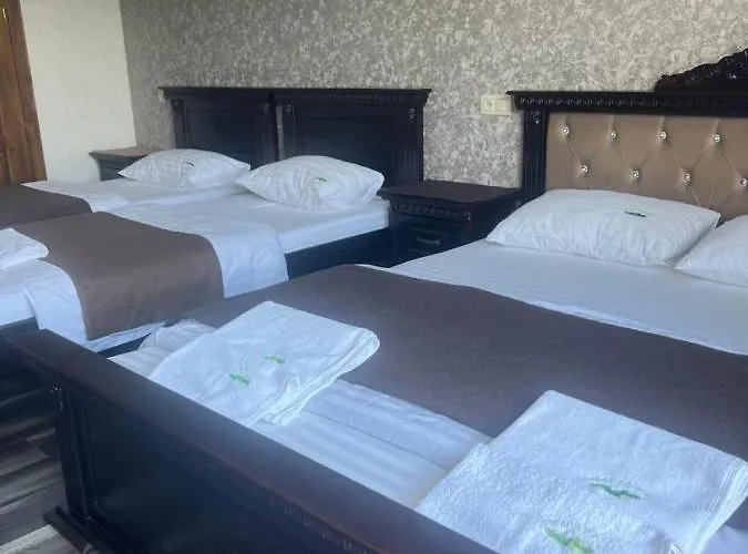 мелодія гір вид на гори Lodge Vorokhta