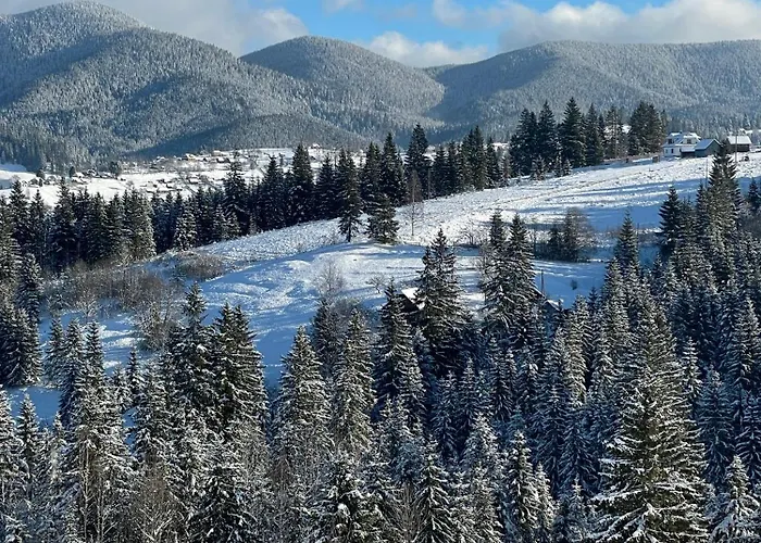 мелодія гір вид на гори Hytte